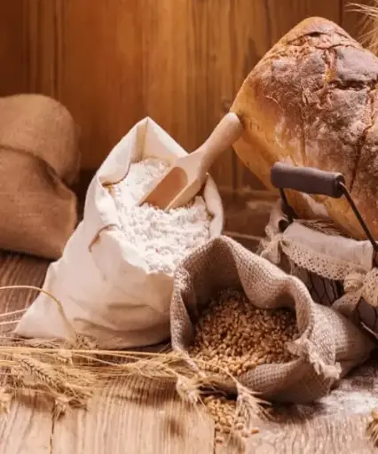 کیسه سبوس