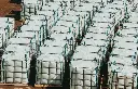 جامبوبگ چهاربند قیر 100*100در ارتفاع100 سانت خورشیدی